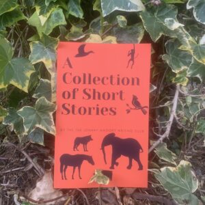 Collection Stories JOhnny Magory Writing Club
