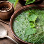 Nettle soup foraged