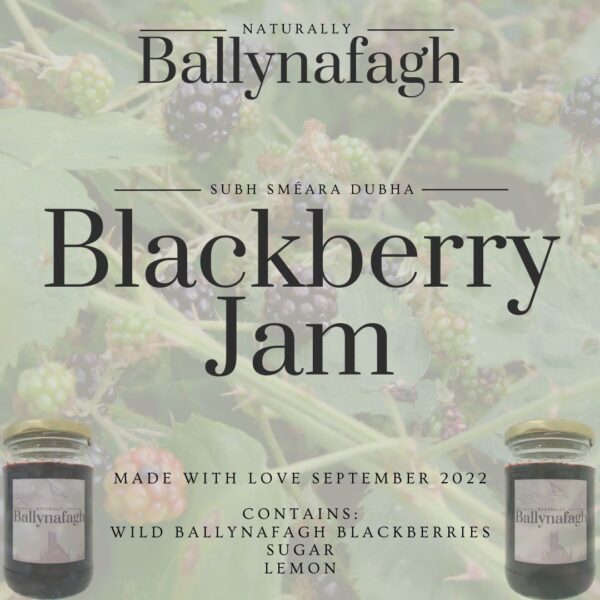 ballynafagh blackberry jam handmade